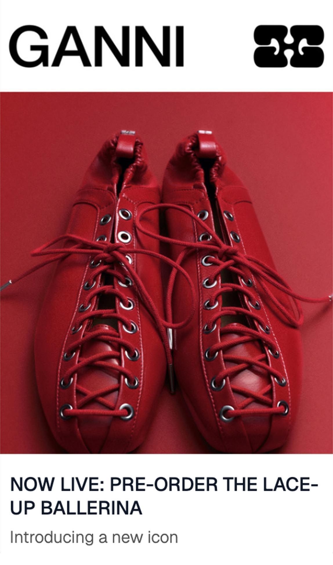 Lace-Up Ballerina Newsletter